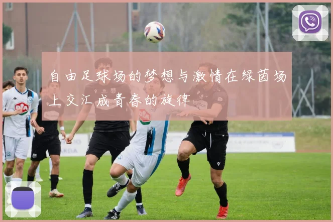 自由足球场的梦想与激情在绿茵场上交汇成青春的旋律